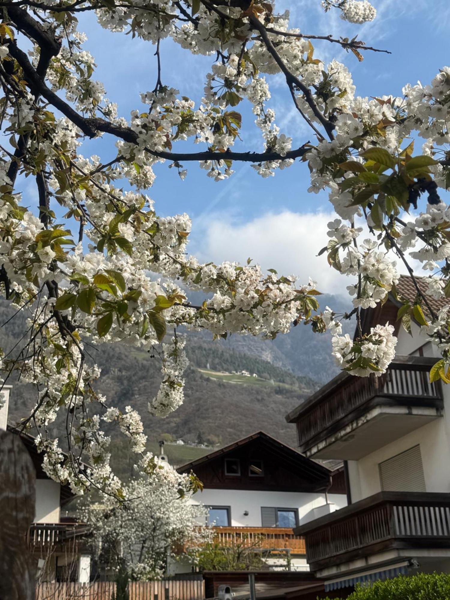 Ferienwohnung Im Zentrum Naturns Esterno foto